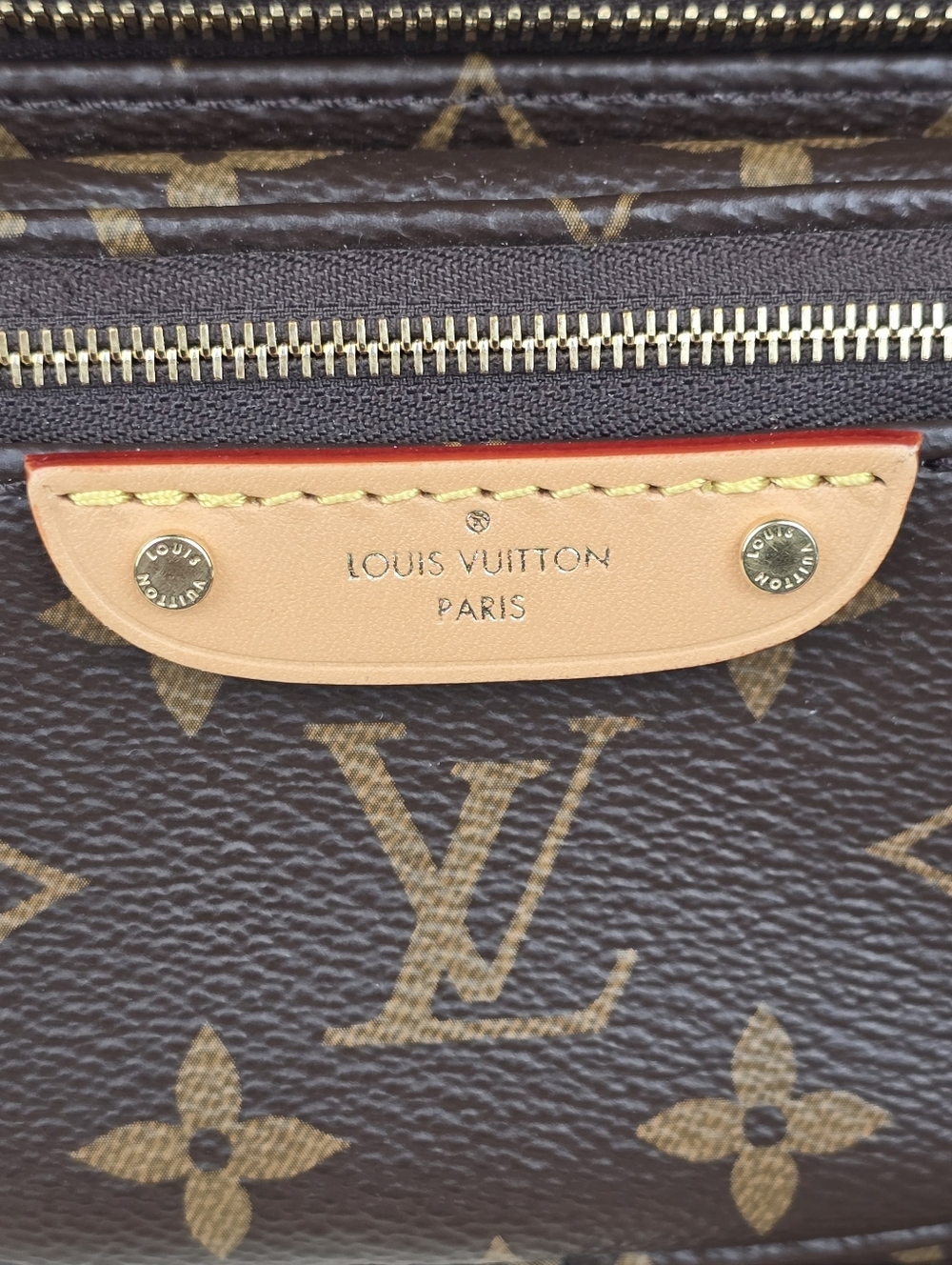 Louis Vuitton Monogram Mini Bumbag Chain Crossbody Bag - Picture 4 of 11